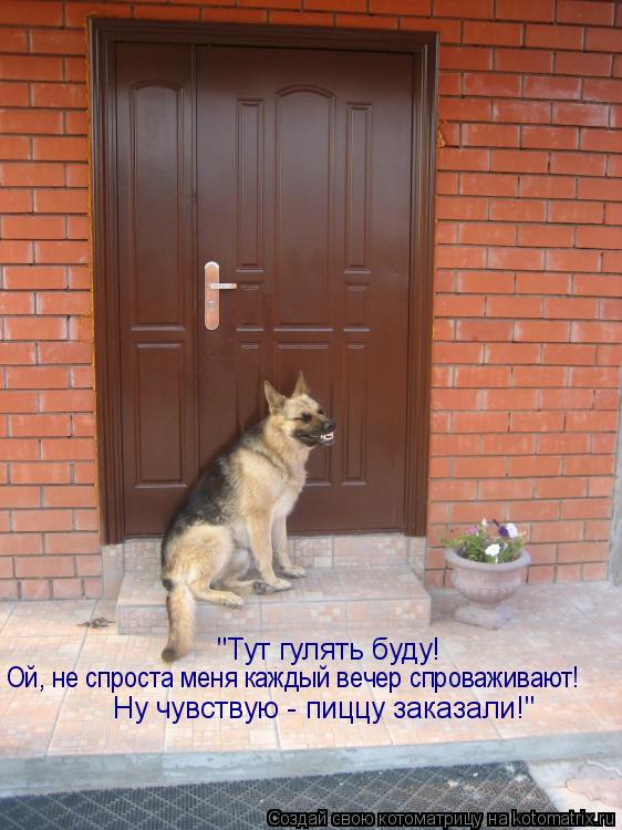 "Тут гулять буду! Ой, не спроста меня каждый вечер спроваживают! Ну чувствую - пиццу заказали!"... Котоматрица: "Тут гулять буду! Ой, не спроста меня каждый вечер спроваживают! Ну чувствую - пиццу заказали!"