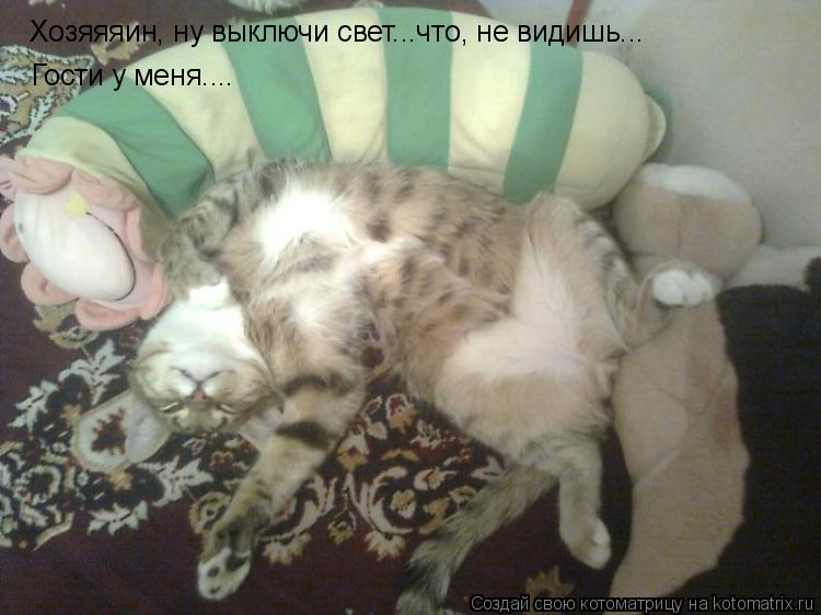 Хозяяяин, ну выключи свет...что, не видишь... Гости у меня....... Котоматрица: Хозяяяин, ну выключи свет...что, не видишь... Гости у меня....