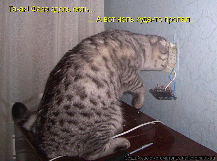Та-ак! Фаза здесь есть... ... А вот ноль куда-то пропал...... Котоматрица: Та-ак! Фаза здесь есть... ... А вот ноль куда-то пропал...
