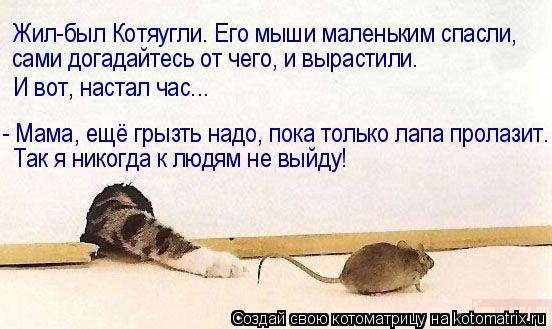 - Мама, ещё грызть надо, пока только лапа пролазит. Так я никогда к людям не выйду! Жил-был Котяугли.... Котоматрица: - Мама, ещё грызть надо, пока только лапа пролазит. Так я никогда к людям не выйду! Жил-был Котяугли. Его мыши маленьким спасли, сами догадайте