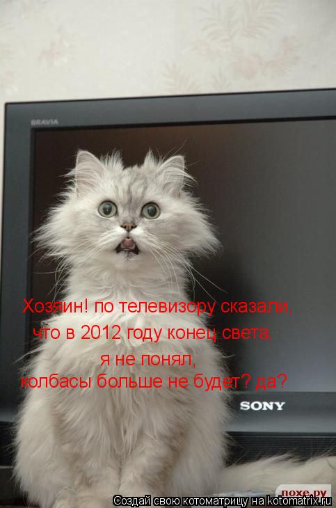 Котоматрица: Хозяин! по телевизору сказали,  что в 2012 году конец света. я не понял, колбасы больше не будет? да?