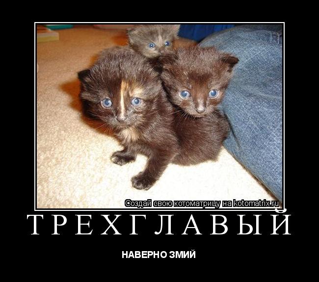 ТРЕХГЛАВЫЙ НАВЕРНО ЗМИЙ... Котоматрица: ТРЕХГЛАВЫЙ НАВЕРНО ЗМИЙ