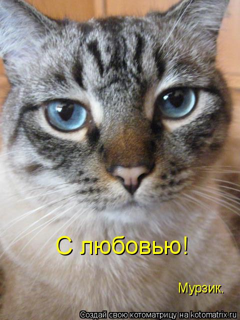 С любовью! Мурзик.... Котоматрица: С любовью! Мурзик.
