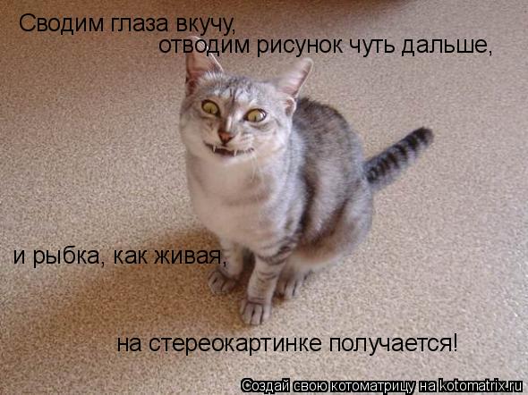 Сводим глаза вкучу, отводим рисунок чуть дальше, и рыбка, как живая, на стереокартинке получается!... Котоматрица: Сводим глаза вкучу, отводим рисунок чуть дальше, и рыбка, как живая, на стереокартинке получается!