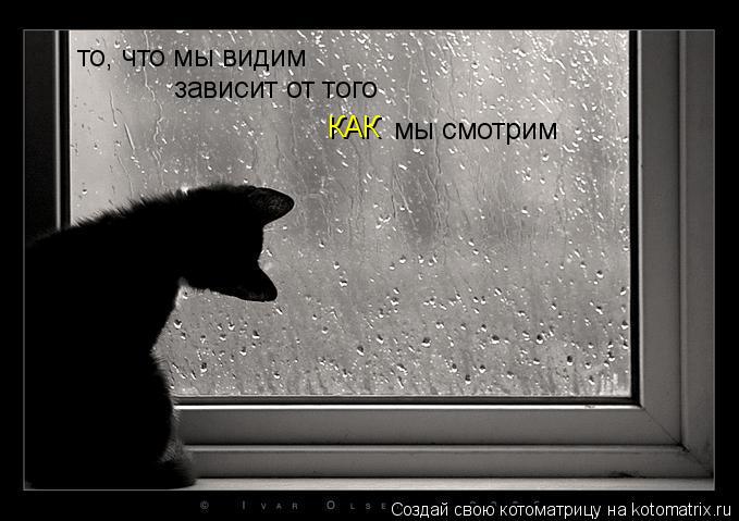 то, что мы видим зависит от того КАК мы смотрим... Котоматрица: то, что мы видим зависит от того КАК мы смотрим
