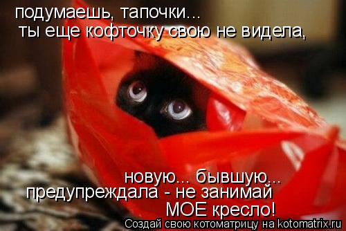 подумаешь, тапочки... ты еще кофточку свою не видела, новую... бывшую... предупреждала - не занимай ... Котоматрица: подумаешь, тапочки... ты еще кофточку свою не видела, новую... бывшую... предупреждала - не занимай МОЕ кресло!