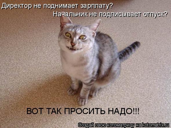 Директор не поднимает зарплату? Начальник не подписывает отпуск? ВОТ ТАК ПРОСИТЬ НАДО!!!... Котоматрица: Директор не поднимает зарплату? Начальник не подписывает отпуск? ВОТ ТАК ПРОСИТЬ НАДО!!!