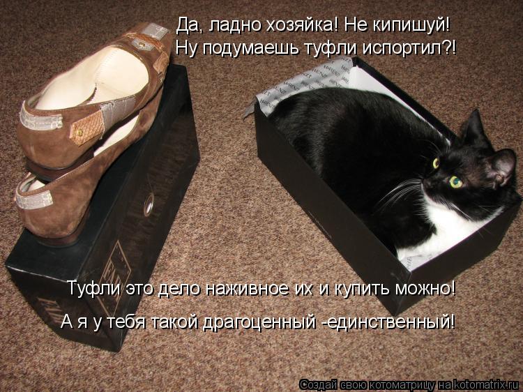 Да, ладно хозяйка! Не кипишуй! Ну подумаешь туфли испортил?! Туфли это дело наживное их и купить можн... Котоматрица: Да, ладно хозяйка! Не кипишуй! Ну подумаешь туфли испортил?! Туфли это дело наживное их и купить можно! А я у тебя такой драгоценный -единстве