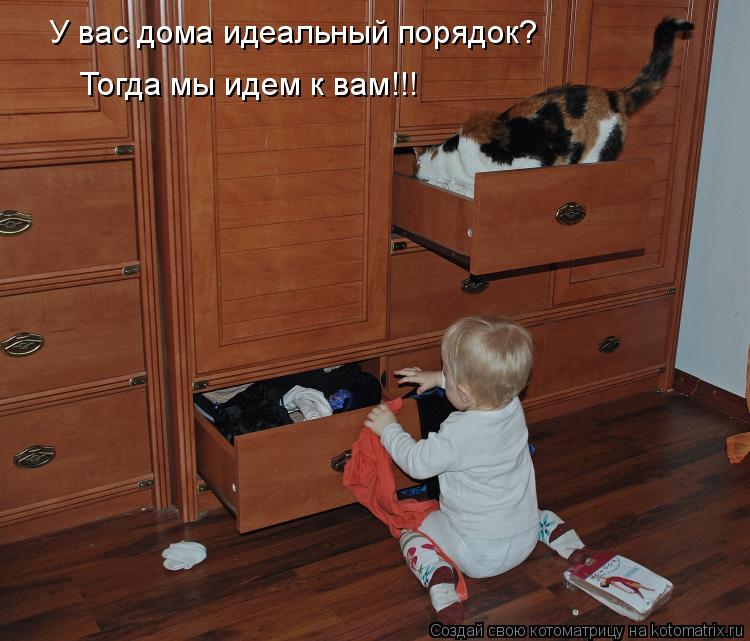 У вас дома идеальный порядок? Тогда мы идем к вам!!!... Котоматрица: У вас дома идеальный порядок? Тогда мы идем к вам!!!