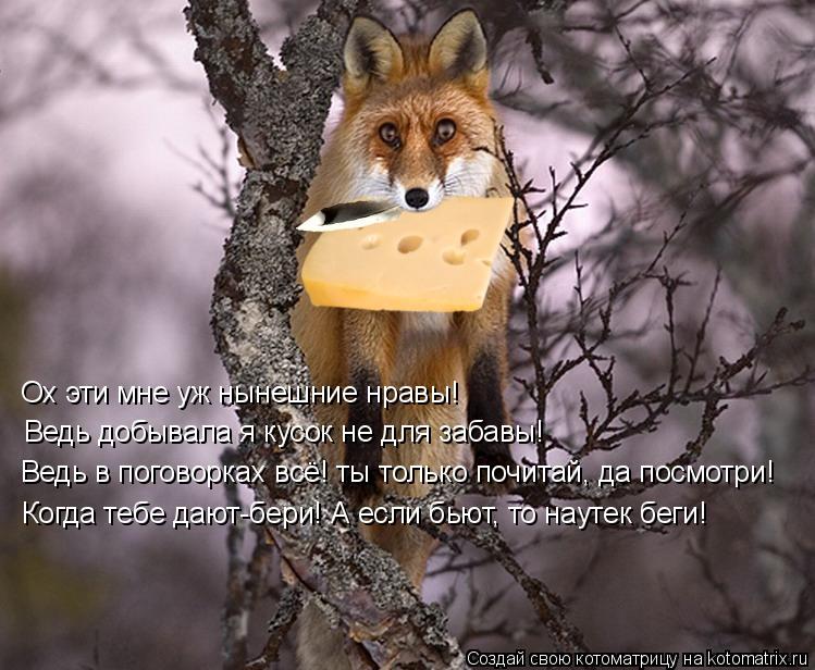 Ох эти мне уж нынешние нравы! Ведь добывала я кусок не для забавы! Ведь в поговорках всё! ты только ... Котоматрица: Ох эти мне уж нынешние нравы! Ведь добывала я кусок не для забавы! Ведь в поговорках всё! ты только почитай, да посмотри! Когда тебе дают-бери