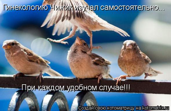Гинекологию Чижик изучал самостоятельно... При каждом удобном случае!!!... Котоматрица: Гинекологию Чижик изучал самостоятельно... При каждом удобном случае!!!