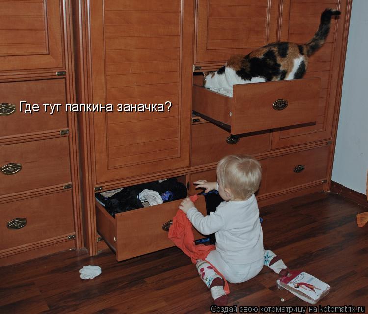 Где тут папкина заначка?... Котоматрица: Где тут папкина заначка?