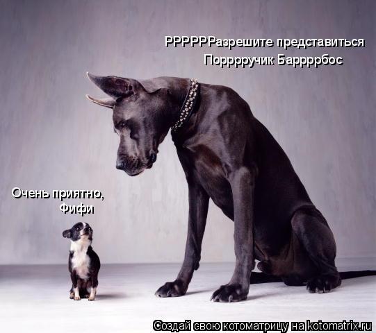Котоматрица: РРРРРРазрешите представиться Порррручик Баррррбос Очень приятно, Фифи