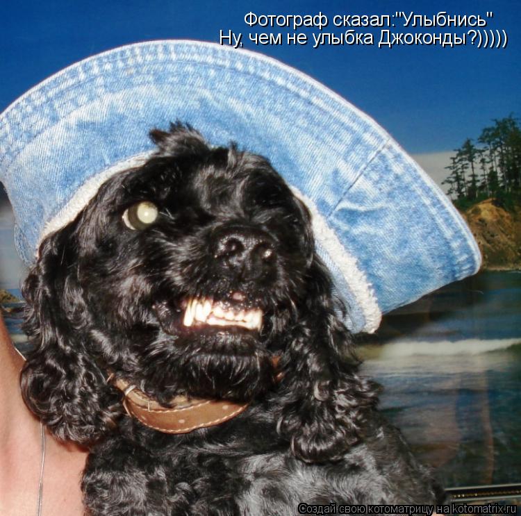 Фотограф сказал:"Улыбнись" Ну, чем не улыбка Джоконды?)))))... Котоматрица: Фотограф сказал:"Улыбнись" Ну, чем не улыбка Джоконды?)))))