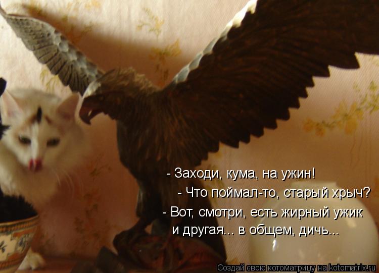 - Что поймал-то, старый хрыч? - Вот, смотри, есть жирный ужик и другая... в общем, дичь... - Заходи, ... Котоматрица: - Что поймал-то, старый хрыч? - Вот, смотри, есть жирный ужик и другая... в общем, дичь... - Заходи, кума, на ужин!