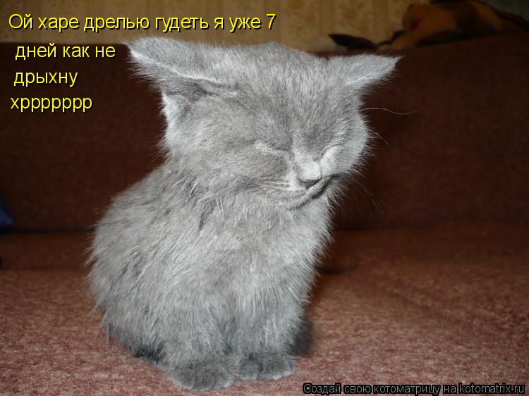 Ой харе дрелью гудеть я уже 7 дней как не дрыхну хррррррр... Котоматрица: Ой харе дрелью гудеть я уже 7 дней как не дрыхну хррррррр