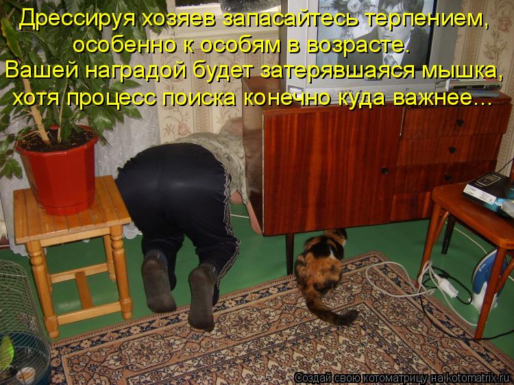 Дрессируя хозяев запасайтесь терпением, особенно к особям в возрасте. Вашей наградой будет затерявшая... Котоматрица: Дрессируя хозяев запасайтесь терпением, особенно к особям в возрасте. Вашей наградой будет затерявшаяся мышка, хотя процесс поиска конечн