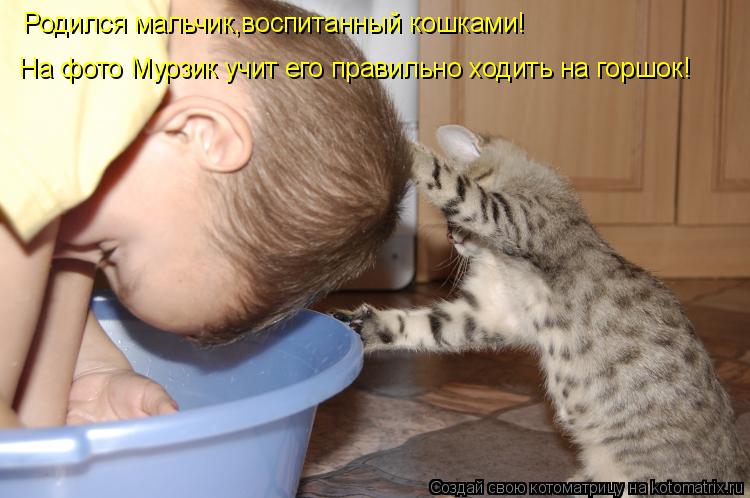 Родился мальчик,воспитанный кошками! На фото Мурзик учит его правильно ходить на горшок!... Котоматрица: Родился мальчик,воспитанный кошками! На фото Мурзик учит его правильно ходить на горшок!
