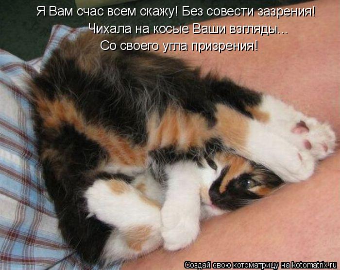 Я Вам счас всем скажу! Без совести зазрения! Чихала на косые Ваши взгляды... Со своего угла призрения... Котоматрица: Я Вам счас всем скажу! Без совести зазрения! Чихала на косые Ваши взгляды... Со своего угла призрения!