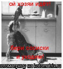 ой хозяи идёт! бери сосиски и уходим!... Котоматрица: ой хозяи идёт! бери сосиски и уходим!