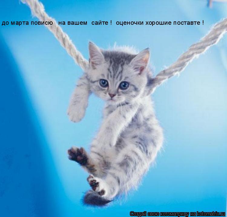 до марта повисю на вашем сайте ! оценочки хорошие поставте !... Котоматрица: до марта повисю на вашем сайте ! оценочки хорошие поставте !