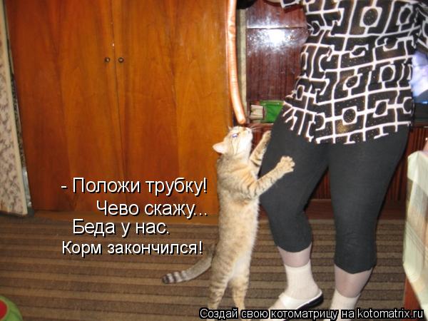 Котоматрица: - Положи трубку! Чево скажу... Беда у нас. Корм закончился!