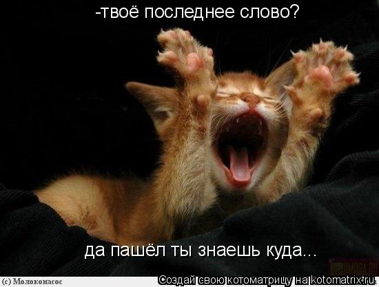 Котоматрица: -твоё последнее слово? да пашёл ты знаешь куда...