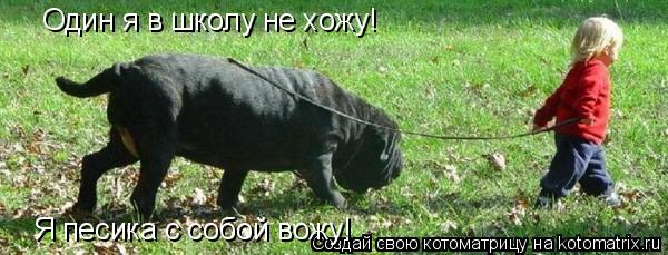 Котоматрица: Один я в школу не хожу! Я песика с собой вожу!
