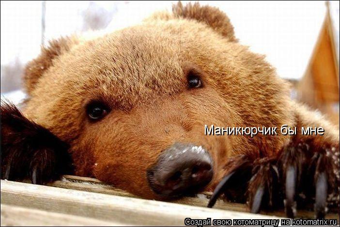 Котоматрица: Маникюрчик бы мне