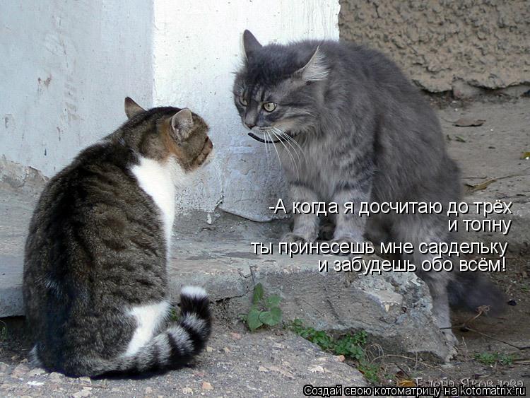 Котоматрица: -А когда я досчитаю до трёх и топну  ты принесешь мне сардельку и забудешь обо всём!