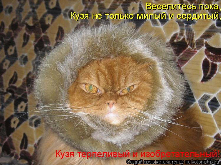 Котоматрица: Веселитесь пока,  Кузя не только милый и сердитый, Кузя терпеливый и изобретательный!