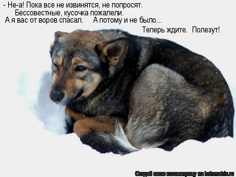 Котоматрица: - Не-а! Пока все не извинятся, не попросят. Бессовестные, кусочка пожалели. А я вас от воров спасал.     А потому и не было... Теперь ждите.  Полезу