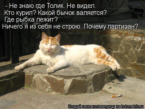 Котоматрица: - Не знаю где Толик. Не видел. Кто курил? Какой бычок валяется? Где рыбка лежит? Ничего я из себя не строю. Почему партизан?