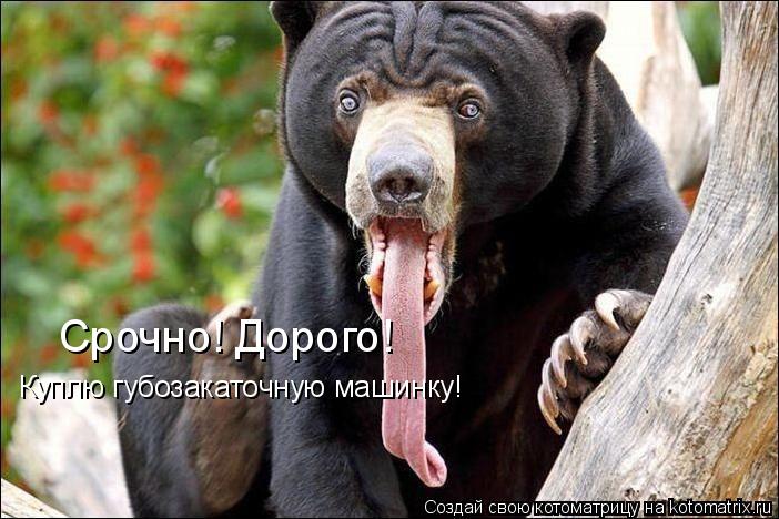 Котоматрица: Куплю губозакаточную машинку! Срочно! Дорого!
