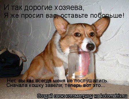 Котоматрица: И так дорогие хозяева, Я же просил вас, оставьте побольше! Сначала кошку завели, теперь вот это... Нет, вы как всегда меня не послушались.