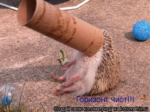 Котоматрица: Горизонт чист!!!
