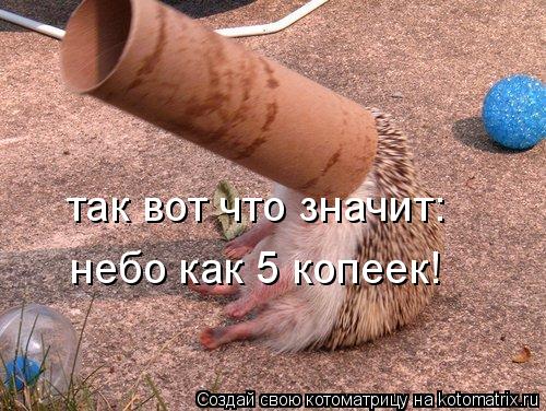Котоматрица: так вот что значит: небо как 5 копеек!