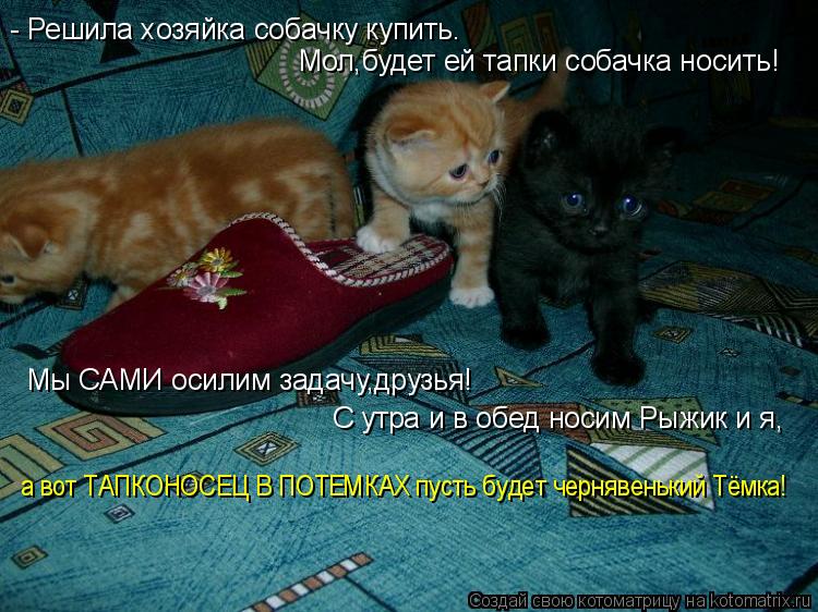 а вот ТАПКОНОСЕЦ В ПОТЕМКАХ пусть будет чернявенький Тёмка! - Решила хозяйка собачку купить. Мол,буде... Котоматрица: а вот ТАПКОНОСЕЦ В ПОТЕМКАХ пусть будет чернявенький Тёмка! - Решила хозяйка собачку купить. Мол,будет ей тапки собачка носить! Мы САМИ осил