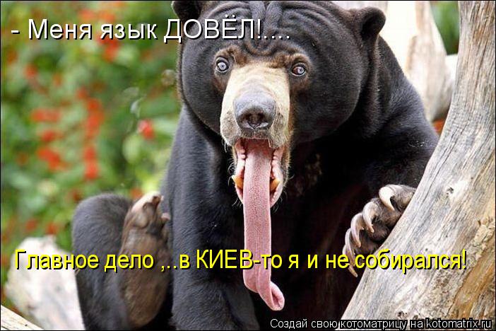 - Меня язык ДОВЕЛ!.... .. Главное дело ,..в КИЕВ-то я и не собирался!... Котоматрица: - Меня язык ДОВЕЛ!.... .. Главное дело ,..в КИЕВ-то я и не собирался!