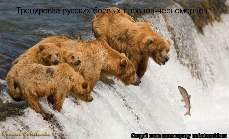 Котоматрица: Тренировка русских боевых пловцов-черноморцев.