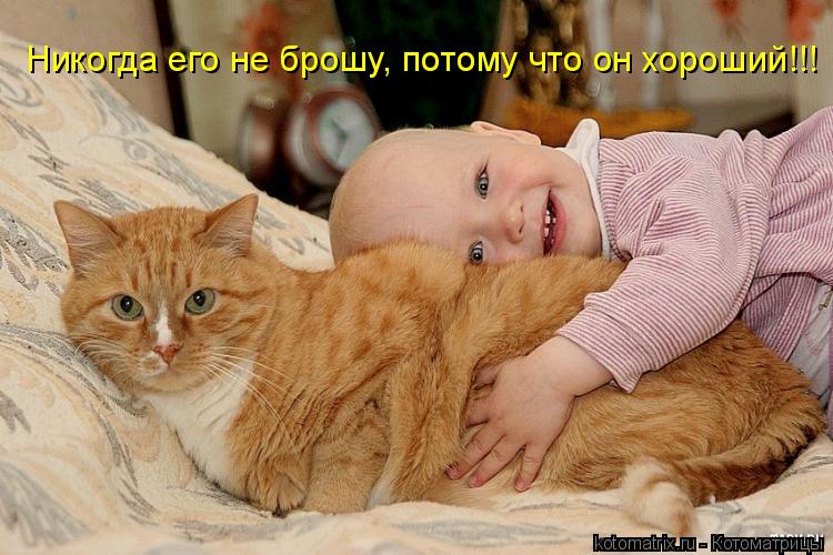 Никогда его не брошу, потому что он хороший!!!... Котоматрица: Никогда его не брошу, потому что он хороший!!!