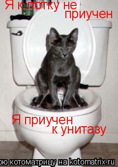 Котоматрица: Я к лотку не  приучен Я приучен  к унитазу