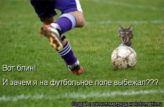 Котоматрица: Вот блин! И зачем я на футбольное поле выбежал???