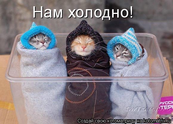 Нам холодно!... Котоматрица: Нам холодно!