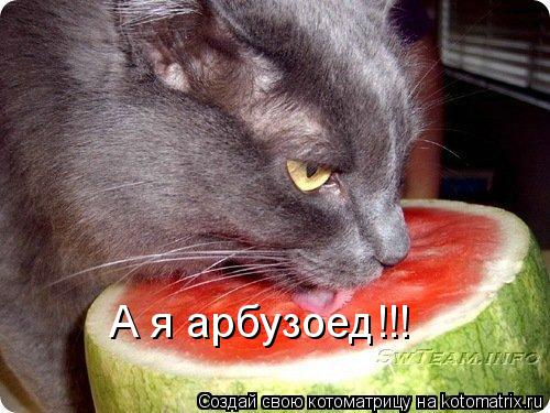 Котоматрица: А я арбузоед!!!