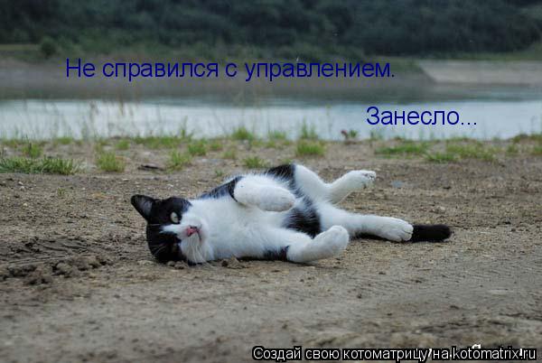 Котоматрица: Не справился с управлением.  Занесло...