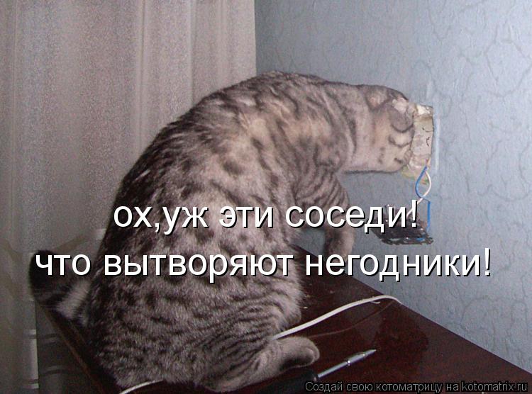 Котоматрица: ох,уж эти соседи! что вытворяют негодники!
