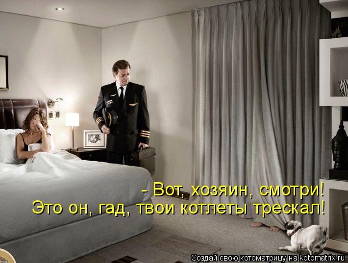 Котоматрица: - Вот, хозяин, смотри! Это он, гад, твои котлеты трескал!