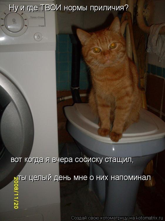 Котоматрица: Ну и где ТВОИ нормы приличия? вот когда я вчера сосиску стащил, ты целый день мне о них напоминал