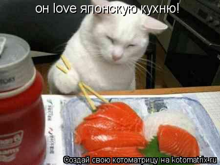 Котоматрица: он love японскую кухню!